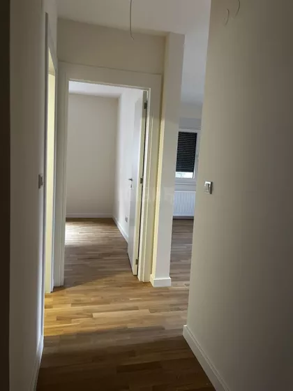 Srđana Kneževića | 4zida.rs