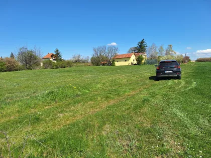 Beogradski Put | 4zida.rs