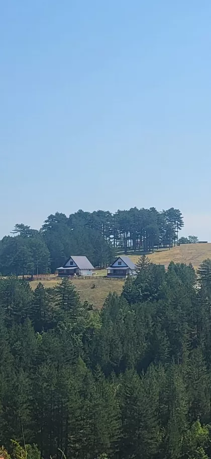 Sainovina | 4zida.rs