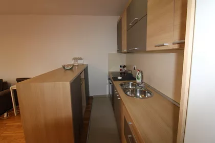 Rotkvarija | 4zida.rs