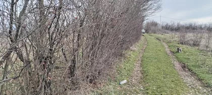 Beli Breg | 4zida.rs