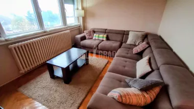 Dušana Petrovića Šaneta