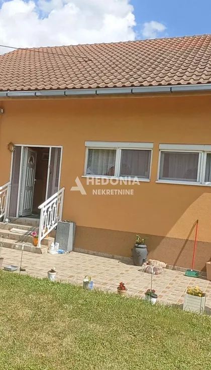 Svetomira Belića | 4zida.rs