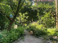 Banovo Brdo, Čukarica, Čukarica opština, Beograd | 4zida.rs