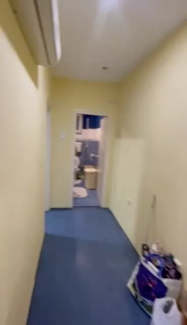 Cara Dušana | 4zida.rs