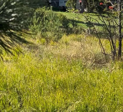 Beogradska | 4zida.rs