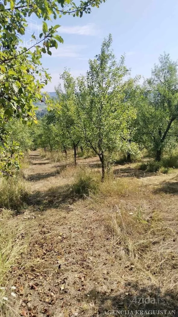 Plac | 4zida
