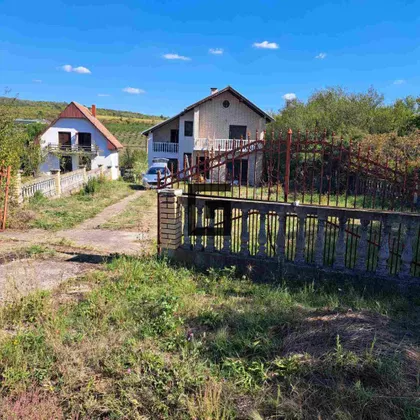 Vase Čarapića | 4zida.rs