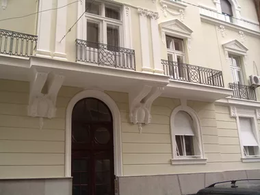 Đure Jakšića