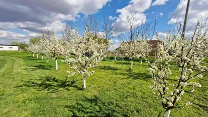 Gradske lokacije | 4zida.rs