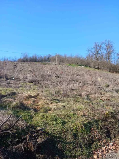 Žunje | 4zida.rs