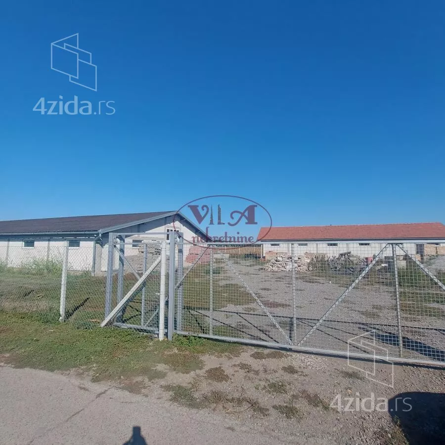 Hala | 4zida