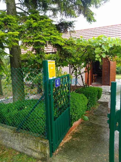 Koste Vujića | 4zida.rs