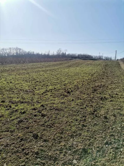 Varovničkih Ratnika | 4zida.rs