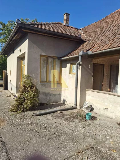 Pačir | 4zida.rs