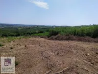 Plac | 4zida