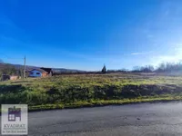 Plac | 4zida