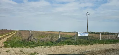 Carice Milice | 4zida.rs