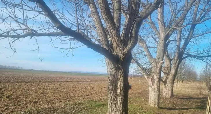 Poljoprivredno zemljište | 4zida