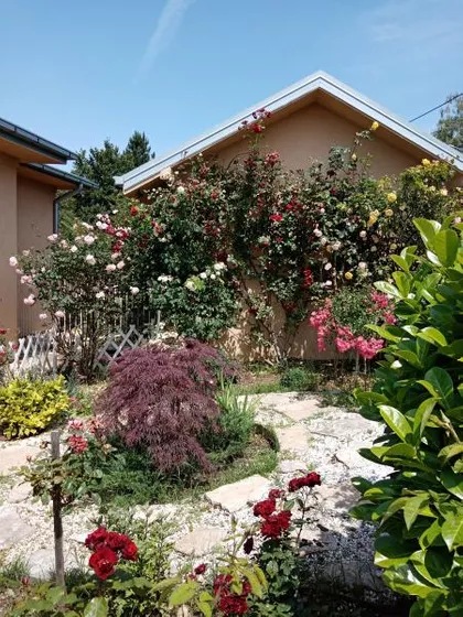 Partizanska | 4zida.rs