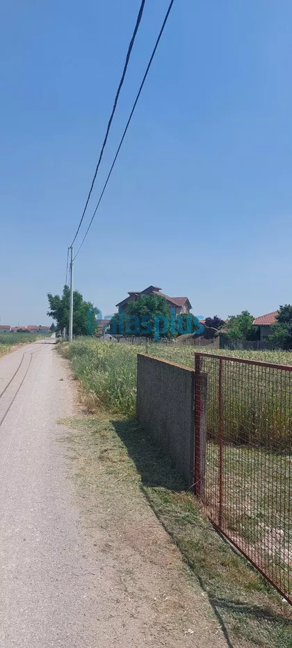 Milene Lakočević | 4zida.rs