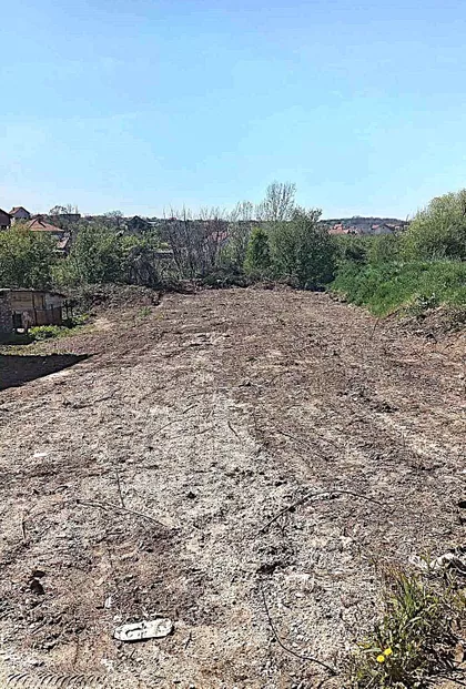 Lipovačka | 4zida.rs