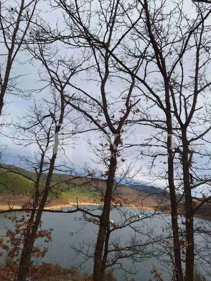 Zavojsko Jezero | 4zida.rs