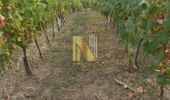 Poljoprivredno zemljište | 4zida
