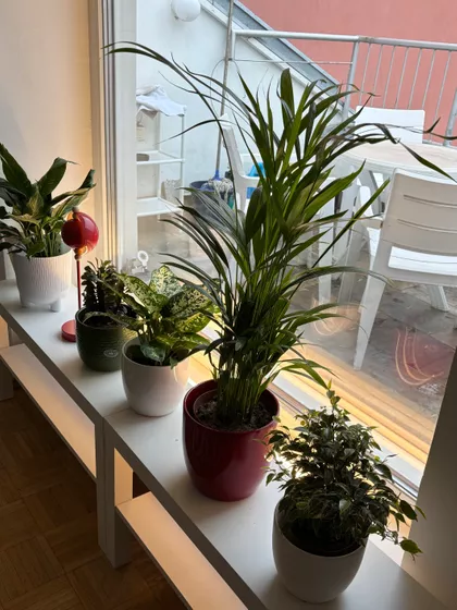 Železnička | 4zida.rs