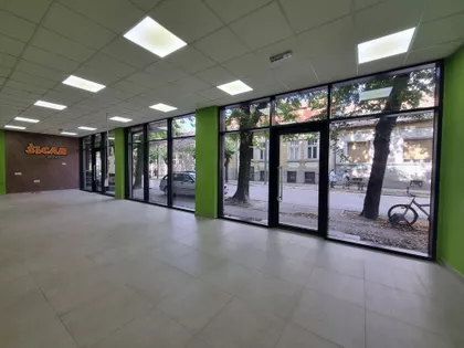 Zmaj Jovina | 4zida.rs