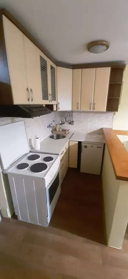 Radomira Raše Radujkova | 4zida.rs
