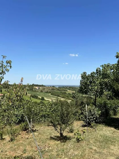 Fruška Gora | 4zida.rs