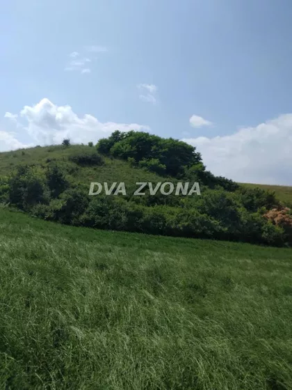Čortanovci | 4zida.rs
