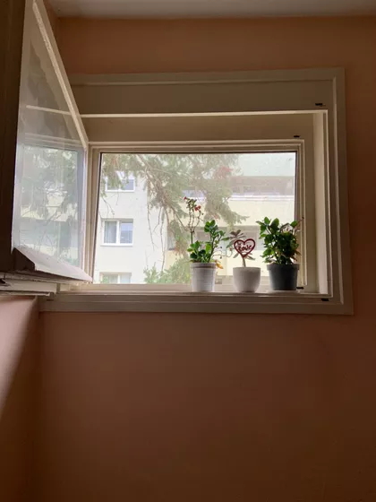 Kralja Dragutina 7 | 4zida.rs