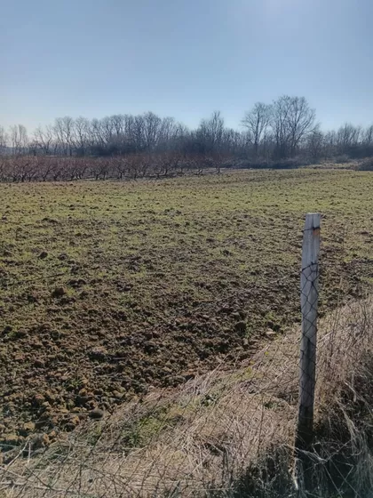 Varovničkih Ratnika | 4zida.rs