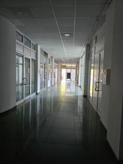 Cara Dušana | 4zida.rs