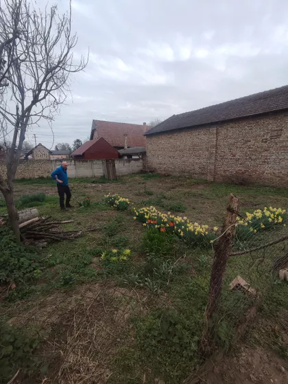 Zadružna | 4zida.rs