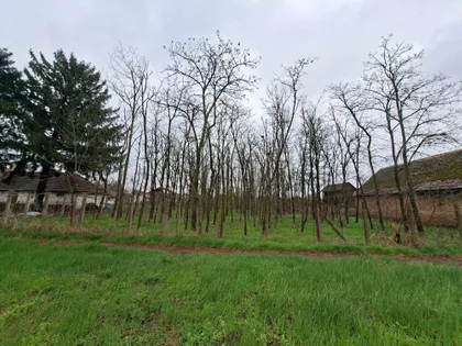 Lenjinova 50 | 4zida.rs