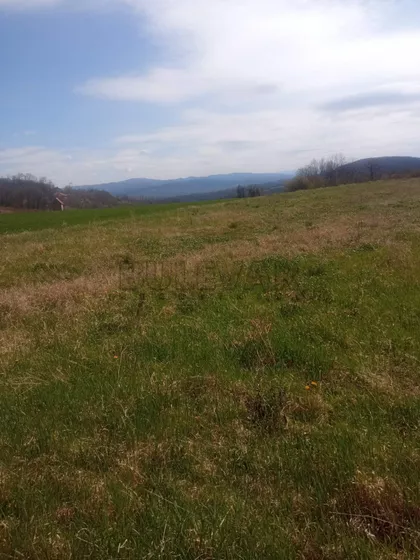 Veliko Krčmare | 4zida.rs