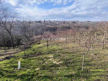 Čortanovci | 4zida.rs