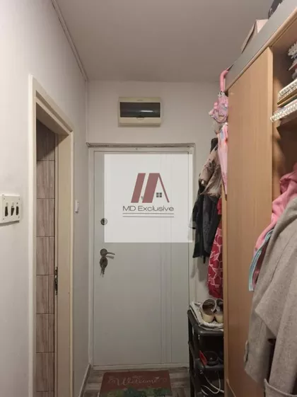 Radovana simica cige | 4zida.rs