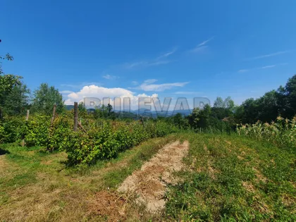 Olomljenica | 4zida.rs