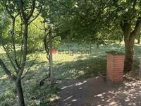 Crveni Krst, Gradske lokacije, Niš | 4zida.rs