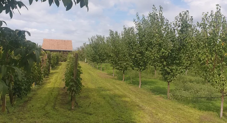 Poljoprivredno zemljište | 4zida