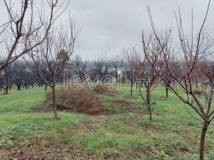 Banoštor | 4zida.rs