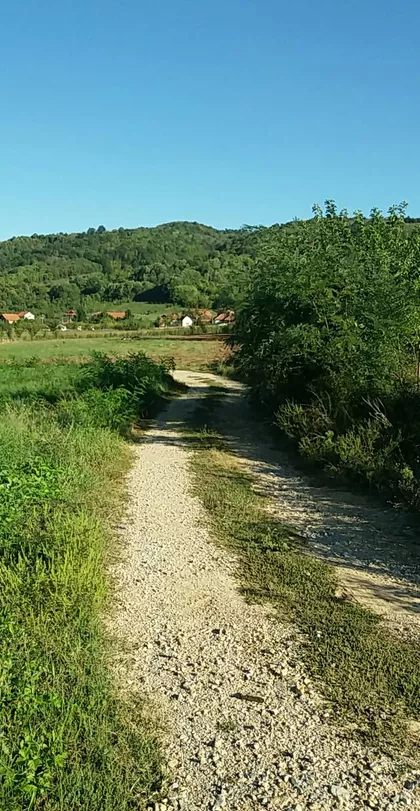 Milorada Miljkovića | 4zida.rs
