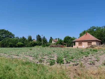 Palić | 4zida.rs