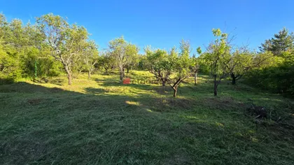 Palilula | 4zida.rs
