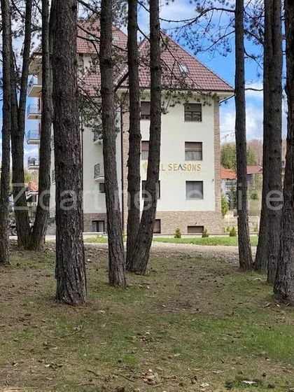 Panta Mijailovića | 4zida.rs