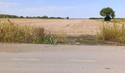 Stepanovićevo | 4zida.rs